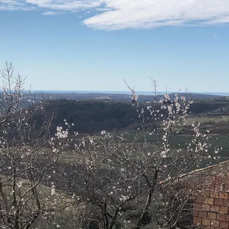 Contemporary House Padna Tatil Evi