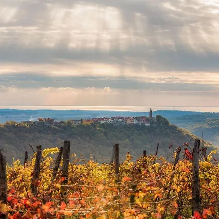 Contemporary House Padna *