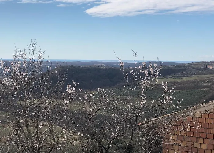 Contemporary House Padna Feriehus