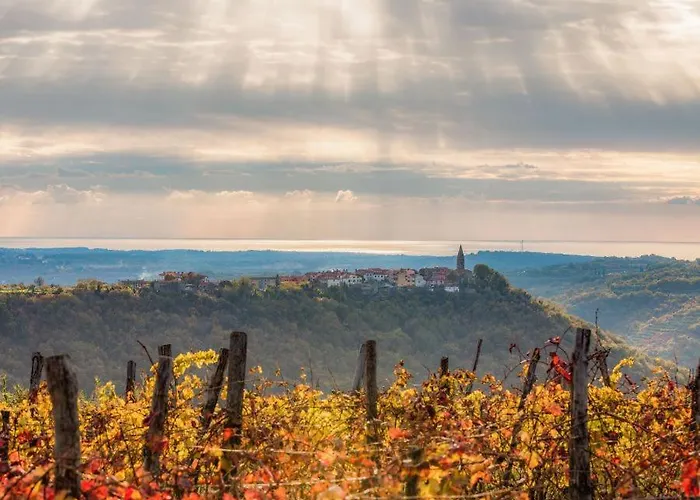 Contemporary House Padna *